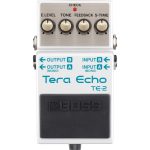 Boss Terra echo