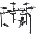 NUX DM-310 Batterie Elec