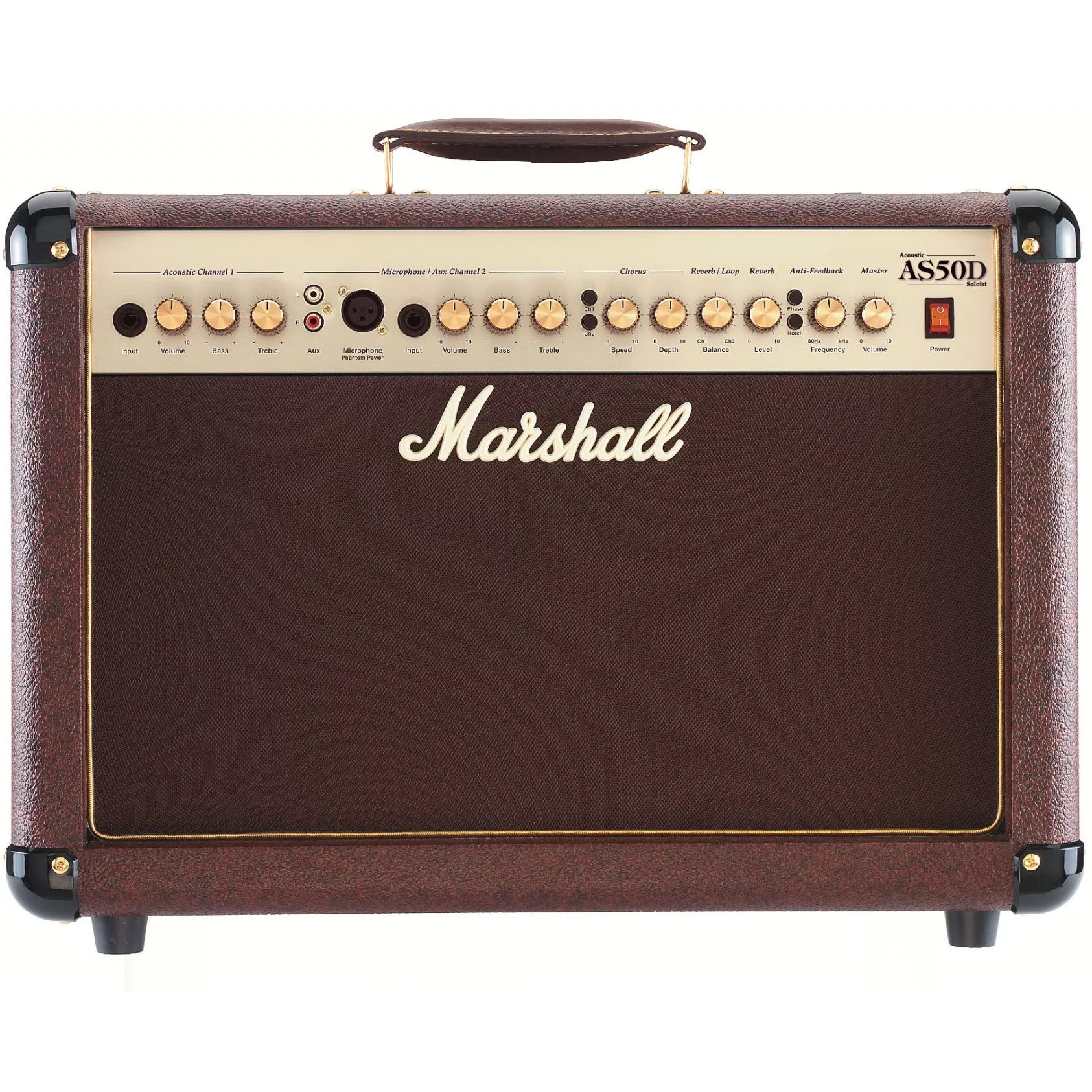 Marshall AS50D acoustic amp