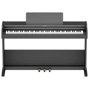 Roland RP107 - Noir