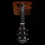 Godin-metropolis-composer-lr-baggs-element-dreadnought-4