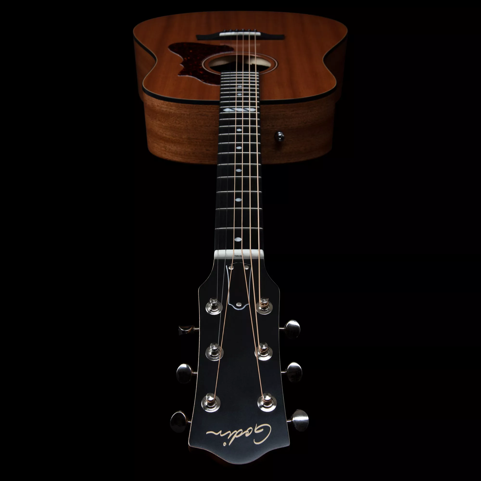 Godin-metropolis-composer-lr-baggs-element-dreadnought-4
