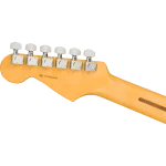 0113902761-Fender-American-Pro-II-Stratocaster-Dark-Night-5