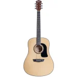Washburn AD5
