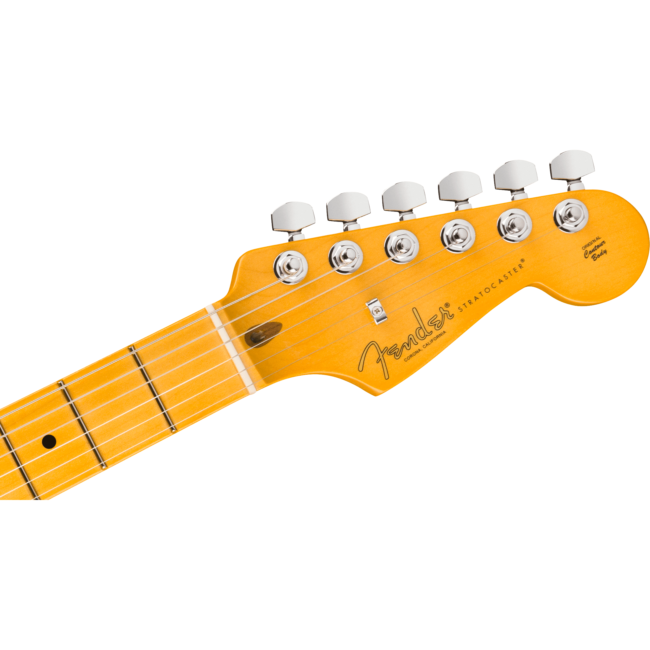 0111112706 Fender American Professional Black 4