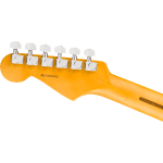 0111112706 Fender American Professional Black 5