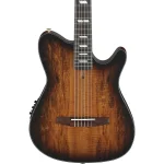 FRH20SMNTCL Ibanez 3