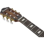 FRH20SMNTCL Ibanez 4