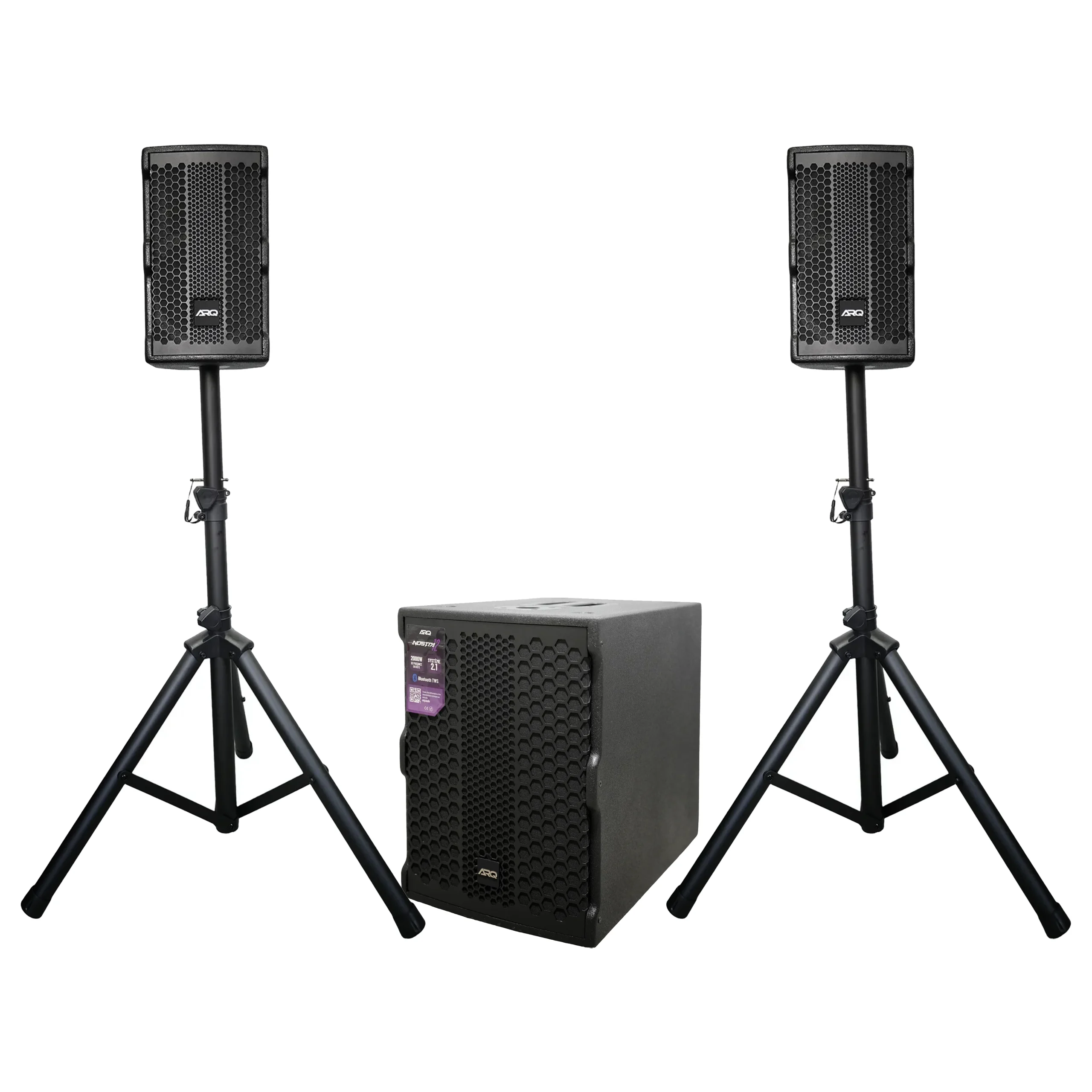 ARQ NOSTRA12 system 2.1 enceinte