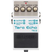 Boss Terra echo